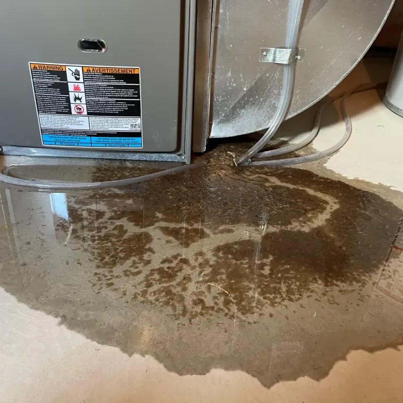 Appliance Leak Cleanup in Lewisburg, WV