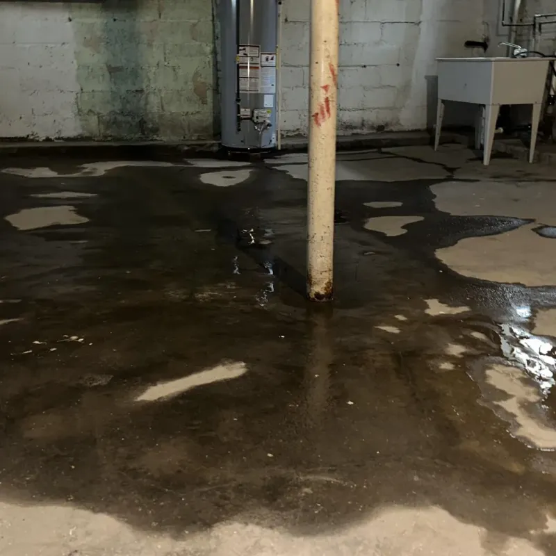 Emergency Water Extraction And Removal in Lewisburg, WV